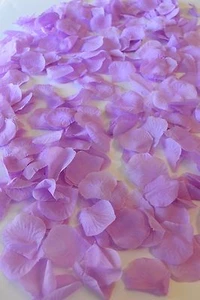 300 Rose Petals Wedding Bridal Quince Silk Flower Decoration Lavender Scatter Ro - Picture 1 of 4