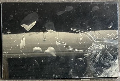 Dell OEM Venue 10 Pro 5055 5050 Tablet 10.1" LED LCD Touchscreen / MPK8J - Image 1 of 4