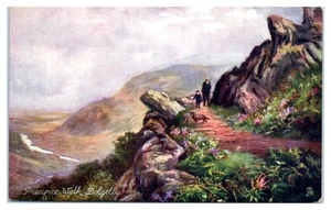 Postcard: Precipice Walk Dolgelly!! - Picture 1 of 2