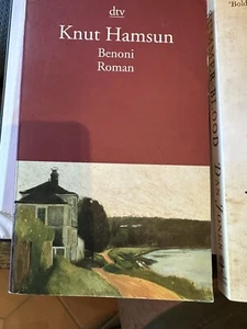 Knut Hamsun Benoni dtv 2000 - Bild 1 von 1