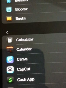 Apple IPhone Pro Plus 128 GB Tiktok, Cap Cut ,Tiktok Shop - Picture 1 of 4