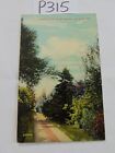 Vintage Posted Postcard Stamp 1911 Lover's Lane Shaw's Garden St Louis Mo. 