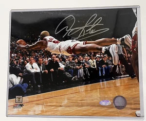 Chicago Bulls Dennis Rodman Autographed 8x10 Photo-Steiner Cert - Picture 1 of 4