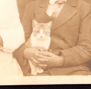 RPPC Postcard RARE Winking Cat Sent to Tyler Texas TX 1910s Studio Photo - Picture 1 of 3