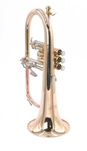 B-Stock ACB Doublers Flugelhorn in Clear Lacquer - Picture 1 of 7
