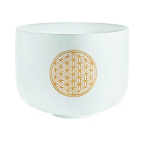 Sonic Energy PCSB10FOL - Singing bowl cristal 10'' - Imagen 1 de 4