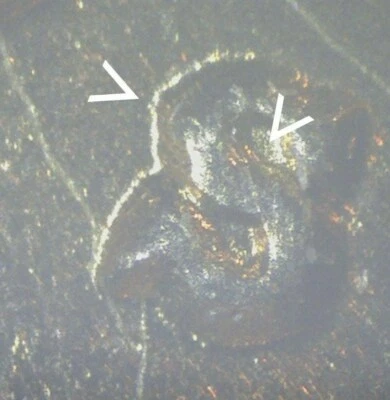 1940-S Lincoln Wheat Cent - S/S RPM  Gem -  K169-2 - Image 1 of 4