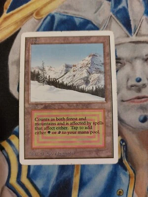 Taiga MTG Unlimited Rare Land Moderately Played x1 GG2 - Image 1 of 4