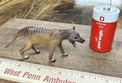 Thylacine Tasmanian Tiger Prehistoric mammal dinosaur model - Image 1 of 4