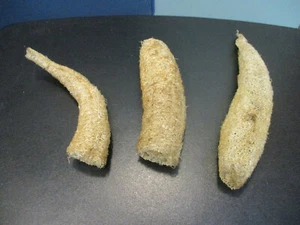 3er Pack natürlicher Luffa / Loofa / LUFFA Peeling Körper SCHWAMM - einzigartige Formen - Bild 1 von 7
