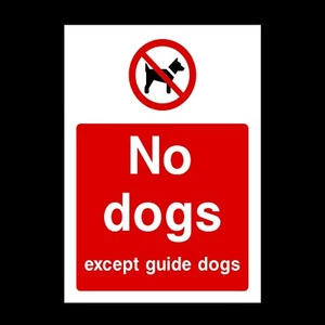 Letrero de plástico o pegatina de no perros excepto perros guía - A6 A5 A4 (PG46) - Imagen 1 de 1
