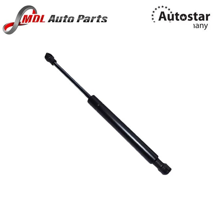 Amortiguador capó AutoStar Alemania para BMW X5 E53 51238402551 Foto 1 de 1