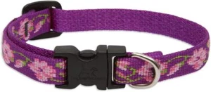 LupinePet Originals 1/2" Rose Garden 10-16" Adjustable Collar for Small Dogs - Picture 1 of 1