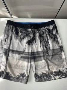 Brian Bielmann GAP Mens Board Shorts Size L (37-38") Grey Beach Print Wake Surf - Picture 1 of 23