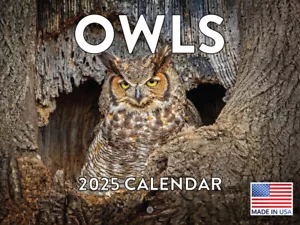 Owl Calendar 2025 Monthly Wall Calender 12 Month - Picture 1 of 6