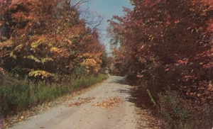 Postcard  Ozark Road Fall Colors - Picture 1 of 2
