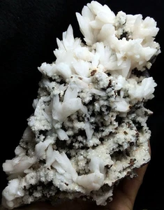 917g NATURAL skeletal Elestial Calcites QUARTZ Crystal Specimen Symbiosis  #112 - Picture 1 of 9