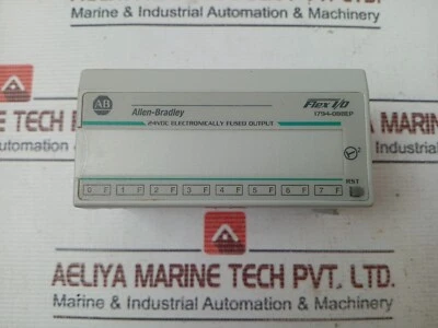 Allen-Bradley 1794-OB8EP Flessibile I/O 24VDC Elettronicamente Fusibile Uscita - Immagine 1 di 4