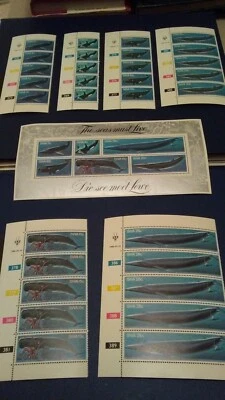 South West Africa MNH 1980 Ballenas Juego de Tiras de Control y Hoja Miniatura Foto 1 de 4