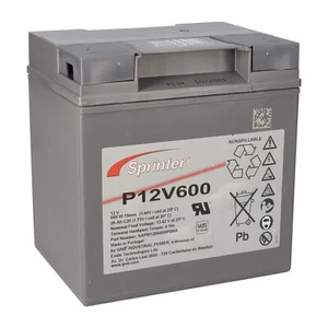 Exide Sprinter P12V600 12V 24Ah plomo-AGM batería con VdS - Imagen 1 de 7