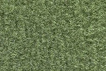 ACC FITS 1979-1981 Chevrolet El Camino Complete Cutpile Auto Custom Carpet - Imagem 1 de 3