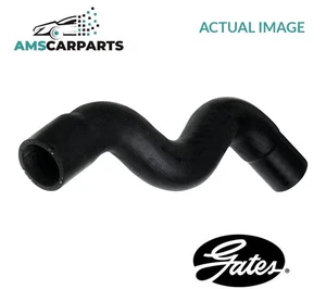 RADIATOR HOSE UPPER 3836 GATES NEW OE REPLACEMENT - Picture 1 of 5