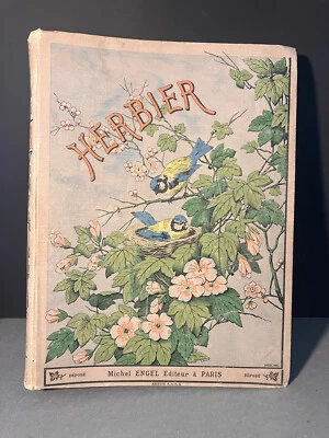 Herbier vierge édité par Michel Engel vers 1880-1900 - Photo 1/4