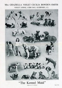 BASENJI DOG BREED KENNEL ADVERT PRINT PAGE CONGO THE KENNEL MAID DOG WORLD 1952 - Picture 1 of 1