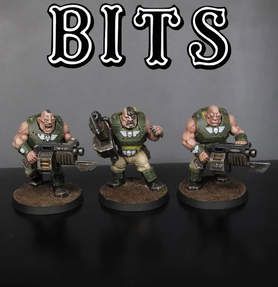 Bits Astra Militarum Bullgryns Ogryns Nork Dedog Imperial Warhammer 40.000 40k Foto 1 de 1