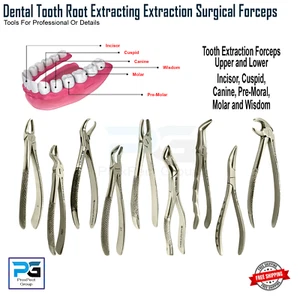 Dental Tooth Extraction Forceps Upper and Lower Premolar Surgical Oral Pliers - Picture 1 of 25