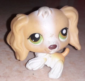 Petshop chien epagneul 79 bis - Picture 1 of 1