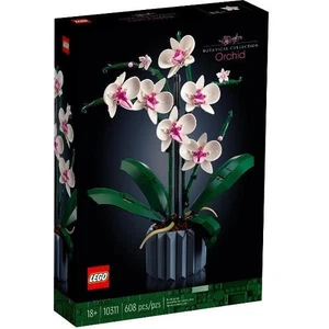 ORCHIDEA - Foto 1 di 6