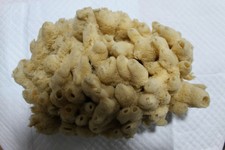 Bellissima spugna di mare naturale