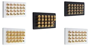 Audio Speaker AV 11.2 Wall Face Plate 22 Terminal Binding Posts + 2 RCA's - Picture 1 of 18