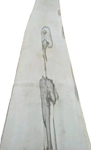 Holly wood veneer sheet 9" x 126" raw no backing 1/42" thickness A grade flitch - Picture 1 of 7