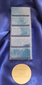 Wax Melts Large 50g Asevi Desinfektionsmittel inspiriert stark duftend Handarbeit - Bild 1 von 1