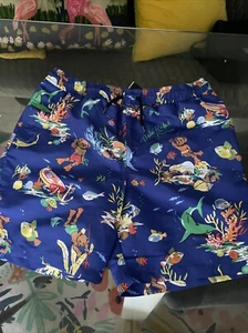 Ralph Lauren Polo Swim Shorts Size XL Older Teen - Picture 1 of 7