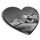 Heart MDF Magnets - BW - Baby Otter Wild Animal #37352