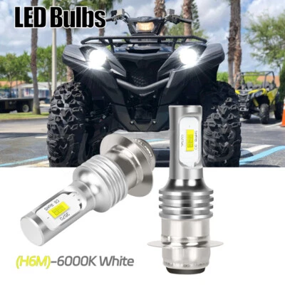 Para Yamaha GRIZZLY 600 1998-2001 Bombilla 2x 6000k H6 LED Faros Bombillas Luces Foto 1 de 4