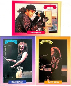 DAVID BRYAN ~ BON JOVI 3 CARD SET Brockum RockCards 1991 USA 1st Ed. 34Yrs! - Bild 1 von 7