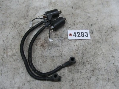 Polaris IQ 600 LX 2007 bobina Foto 1 de 4