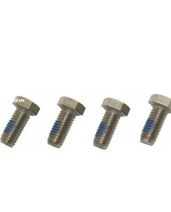 Genuine Hayward Motor Cap Screw Set of 4 Super Pump Super II MaxFlo Omni VS  NEW - Picture 1 of 1