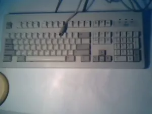 IBM KEYBOARD MODEL A, FRU 06H5305 08H4601 PS/2 Heavy Tactile clean dome clicky - Picture 1 of 5
