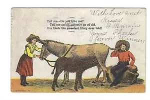 Postkarte "Tell Me-Do You Love Me?" Humor 1907 ungeteilter Rücken Esel Junge Mädchen EUC - Bild 1 von 1