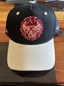 New Chicago Bulls SGA Giveaway Artist Series Snapback Hat Walker TKL Cap - Picture 1 of 9