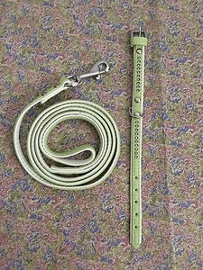 XXSmall Dog Neon Green Faux Leather Rhinestone Collar and Leash - Picture 1 of 4