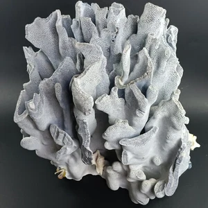 Vintage schwerer großer Blue Ridge Coral Rock Cluster, Heliopora Coerulea Specimen - Bild 1 von 17