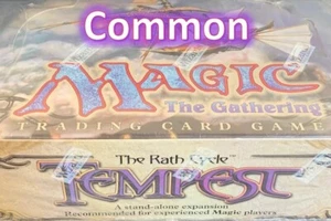 Tempest 1997 Magic the Gathering MTG Common - Bild 1 von 1
