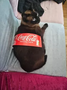 CocaCola Costume for Cats - Picture 1 of 1