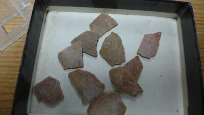 GEOLOGICAL ENTERPRISES Fossil Dinosaur egg shell Hypselosaurus  priscus - Image 1 of 3